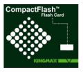 1GB CompactFlash Card
