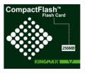 256MB CompactFlash Card