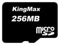 256MB MicroSD Card