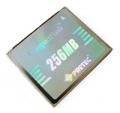 CompactFlash Platinum HighSpeed 256MB