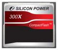 300X Professional Compact Flash Card 2GB